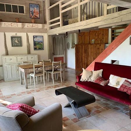 Le Tapis Vert - Loft Avec Jardin Auch Exteriér fotografie