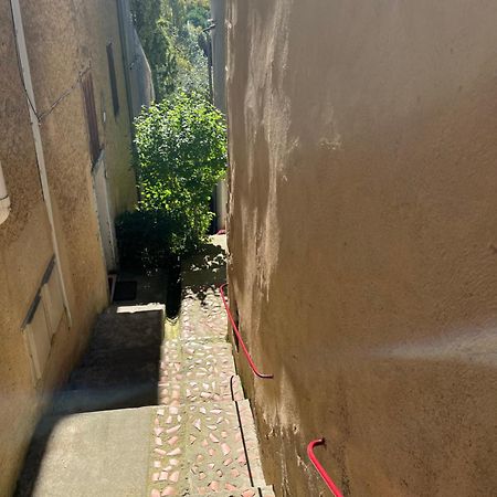 Le Tapis Vert - Loft Avec Jardin Auch Exteriér fotografie